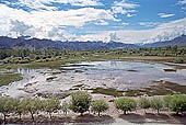 Valley of the river Indus